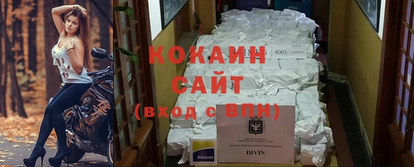 индика Кущёвская