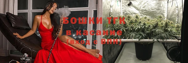 индика Кущёвская