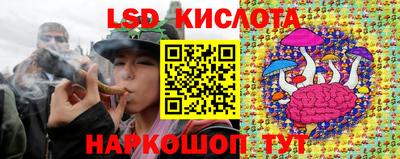 ГАЛЛЮЦИНОГЕННЫЕ ГРИБЫ Заволжье