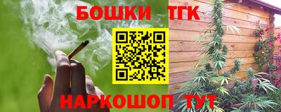 индика Жуковский
