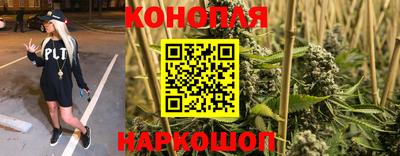 гидропоника Заводоуковск