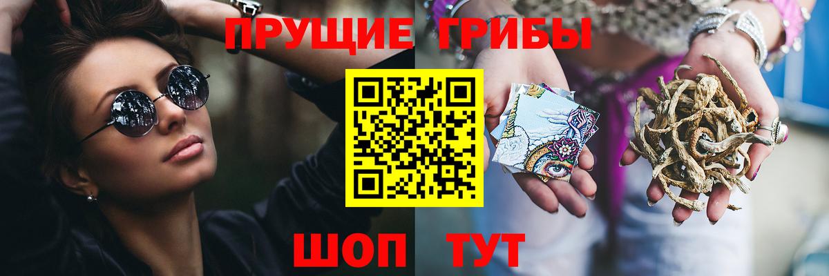 Галлюциногенные грибы Psilocybine cubensis Комсомольск-на-Амуре